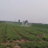 保定周边吊运打药撒肥随叫随到