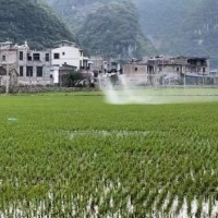 只需要飞手