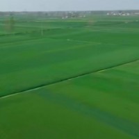 临汾统防无人机团队联系