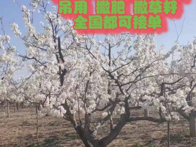 山西境内可吊树  光伏板   撒溶雪剂 撒肥