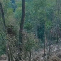 四川绵阳吊运不限机型