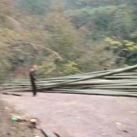 江西省抚州市南城县吊运毛竹