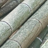 湖南30000亩竹子吊运