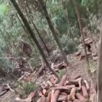 陕西省安康市岚皋县吊运木头附近飞机联系