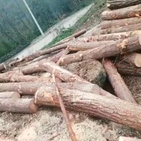 遵义务川吊运木头