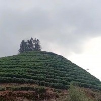 云南昭通吊运光伏板
