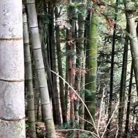 湖南郴州无人机团队联系常年有活