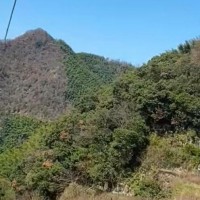 深圳龙岗甘坑吊水泥和石子