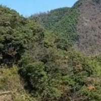 四川眉山市吊运工程料大载重无人机联系