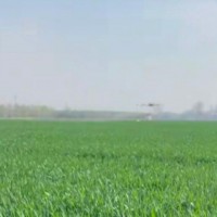 河南统防