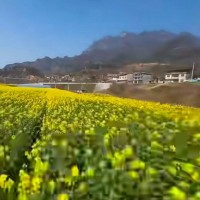 北京房山区吊运监控设备