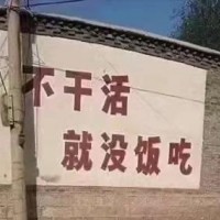 河南新野地块好