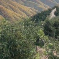 石家庄清洗光伏设备附近飞机联系