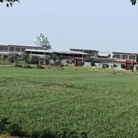 统防统治