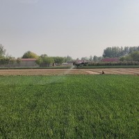 北京河北周边统防吊运打药撒肥随叫随到