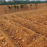 天津蓟州区吊运砂石料
