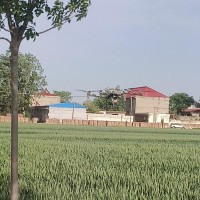 北京河北周边吊运打药撒肥随叫随到